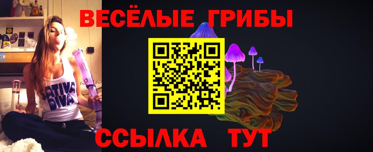 Псилоцибиновые грибы мухоморы  Галлюциногенные грибы Psilocybe  Геленджик  Вход с VPN 